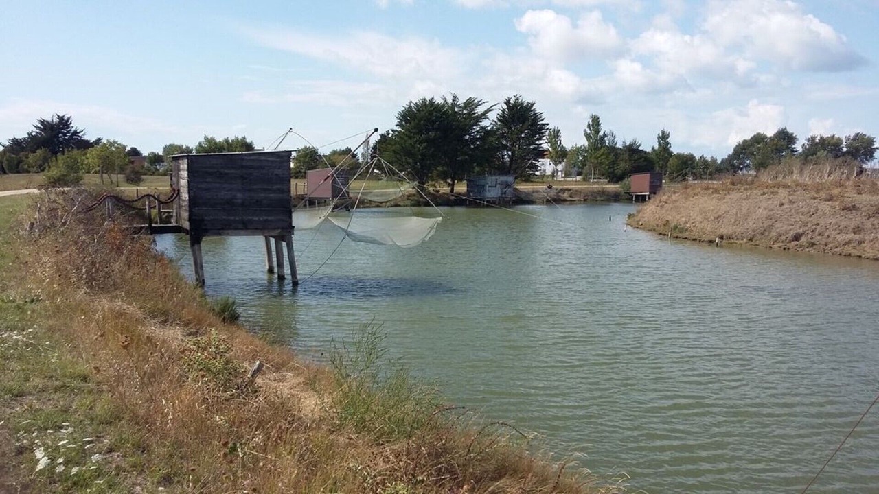 Photo of Others in La Barre-de-Monts