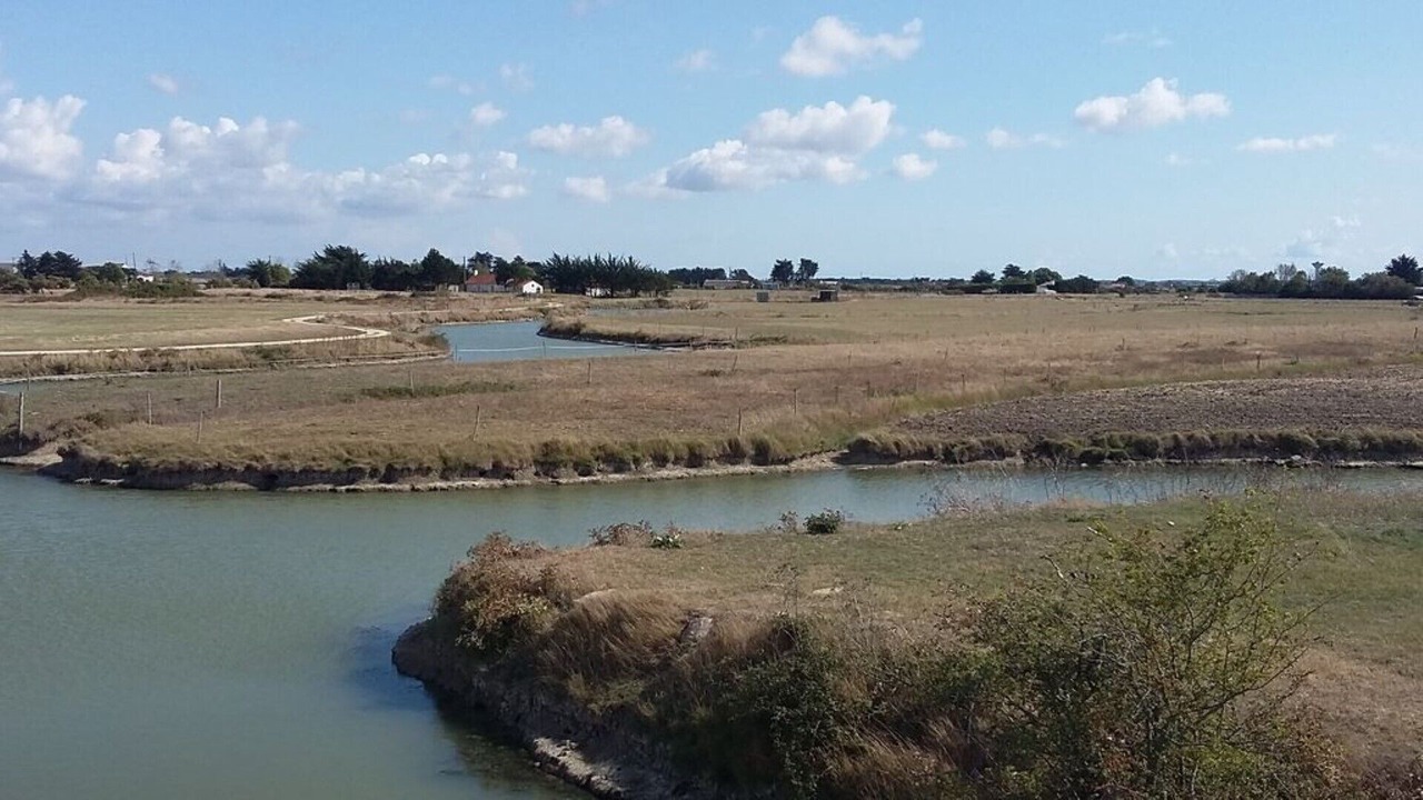 Photo of Outdoor in La Barre-de-Monts