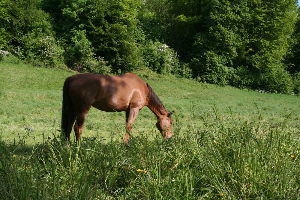 Photo of Outdoor in Toeufles