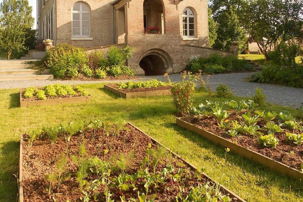 Photo of Outdoor in Toeufles