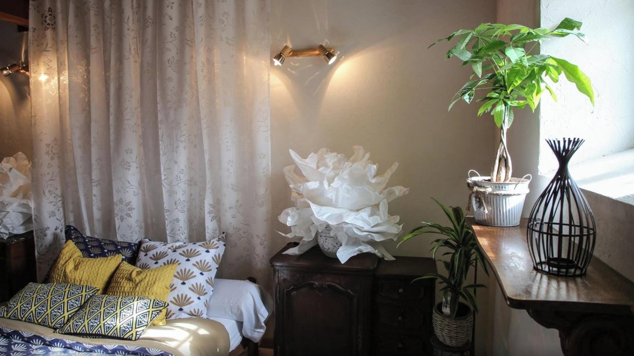 Photo of Others in Saint-Front-de-Pradoux