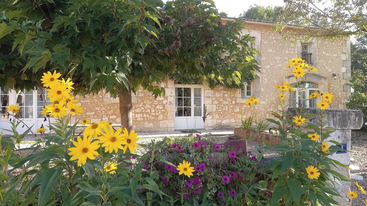 Photo of Outdoor in Saint-Front-de-Pradoux