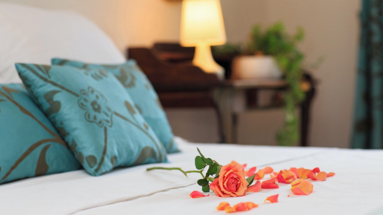 Photo of Others in Saint-Front-de-Pradoux