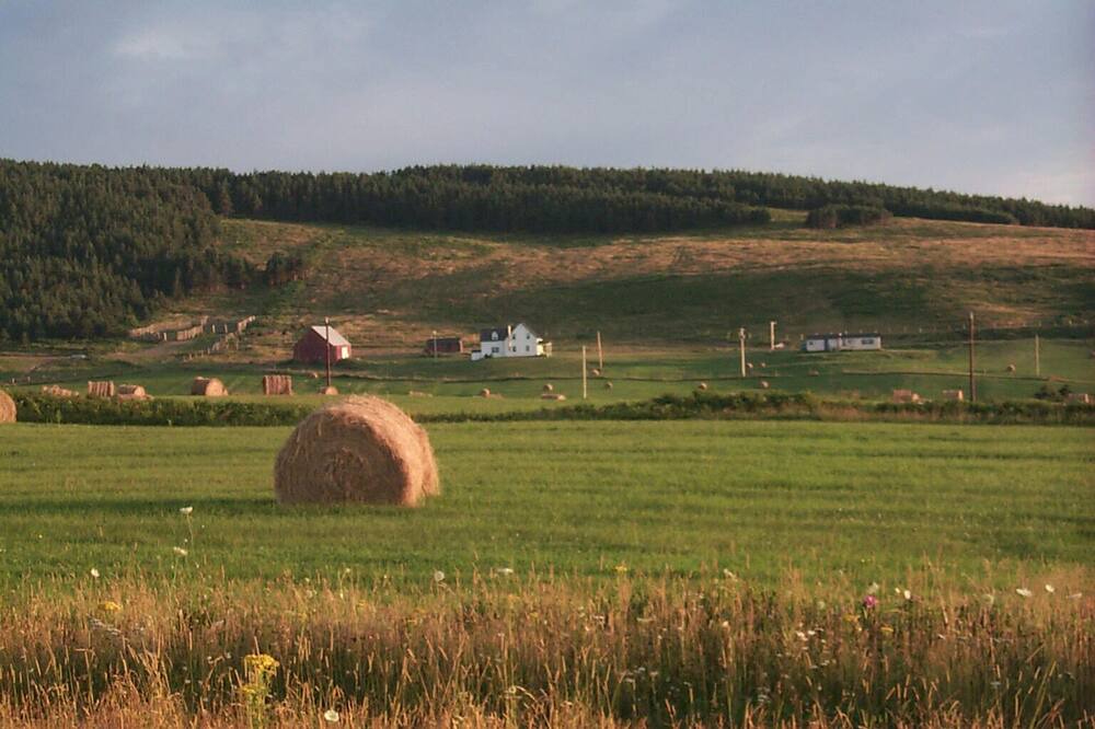Photo of Others in Inverness