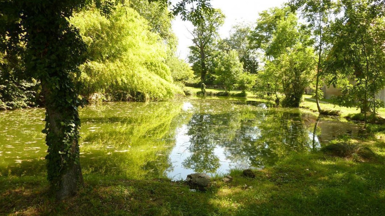 Photo of Outdoor in Trateau