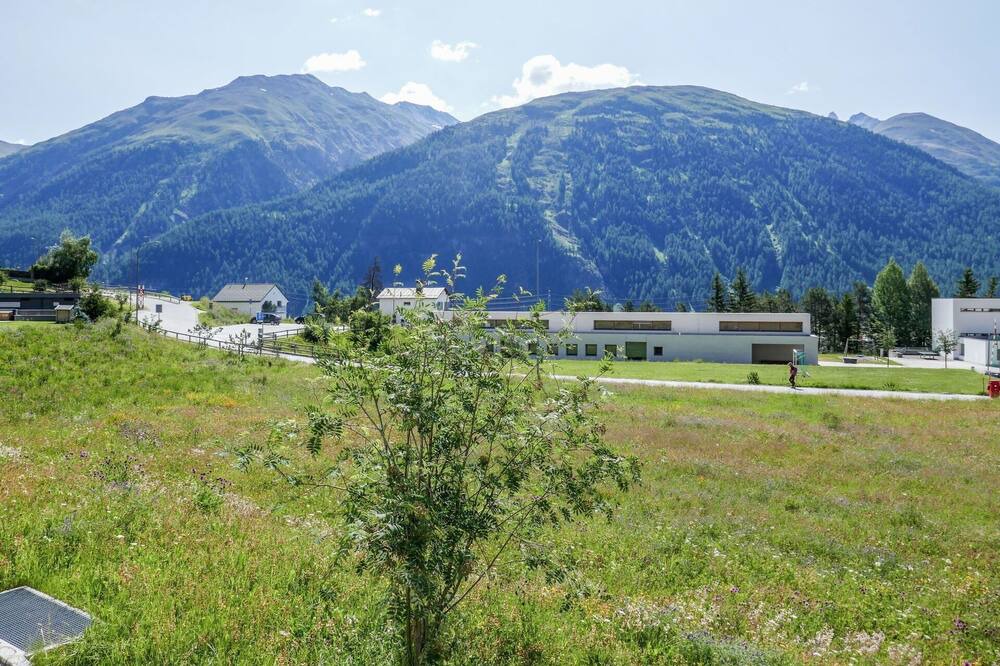 Photo of Others in Samedan