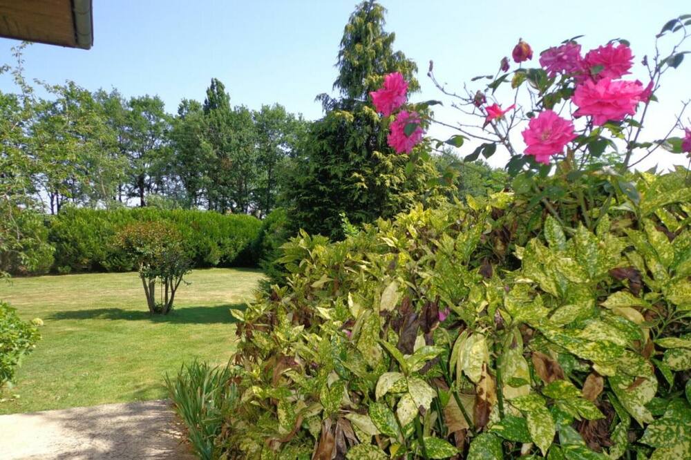 Photo of Outdoor in Mugron