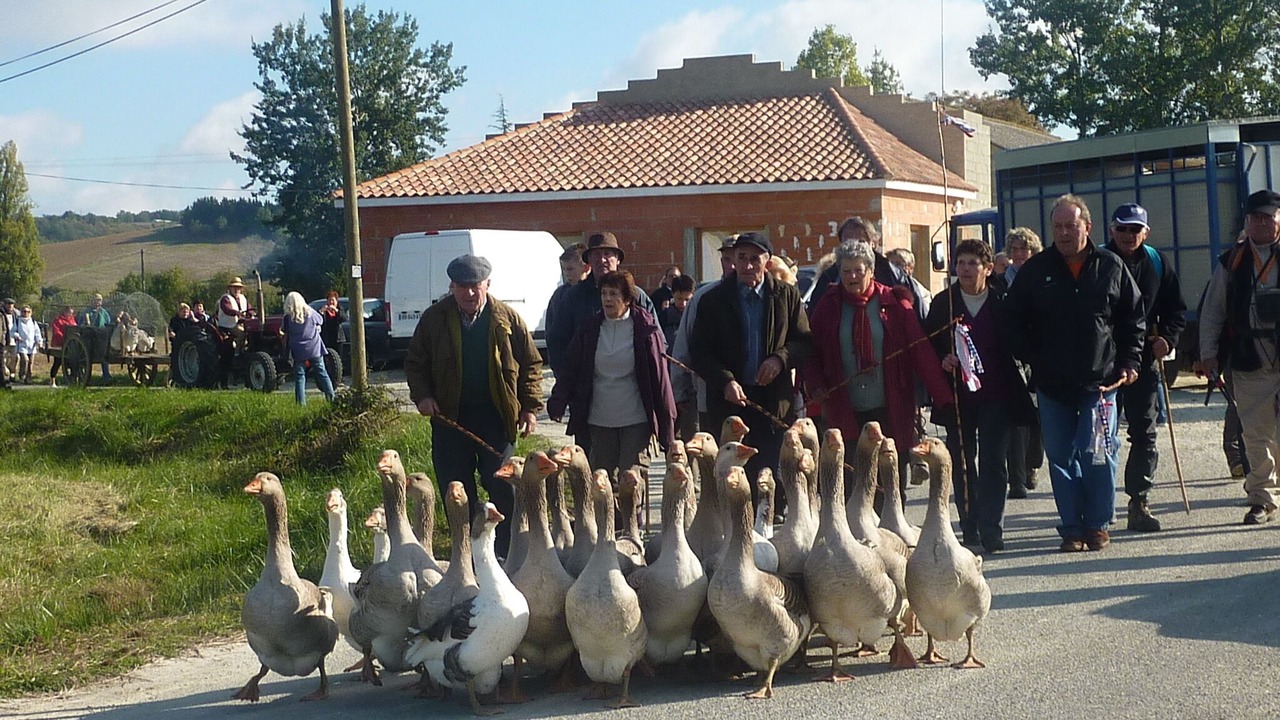 Photo of Others in Biran