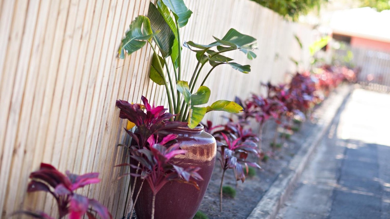 Photo of Outdoor in Sarina