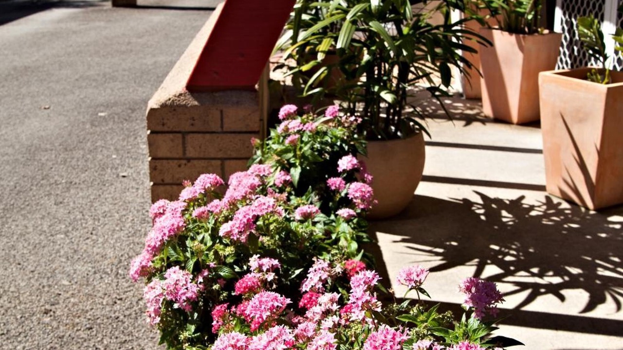 Photo of Outdoor in Sarina