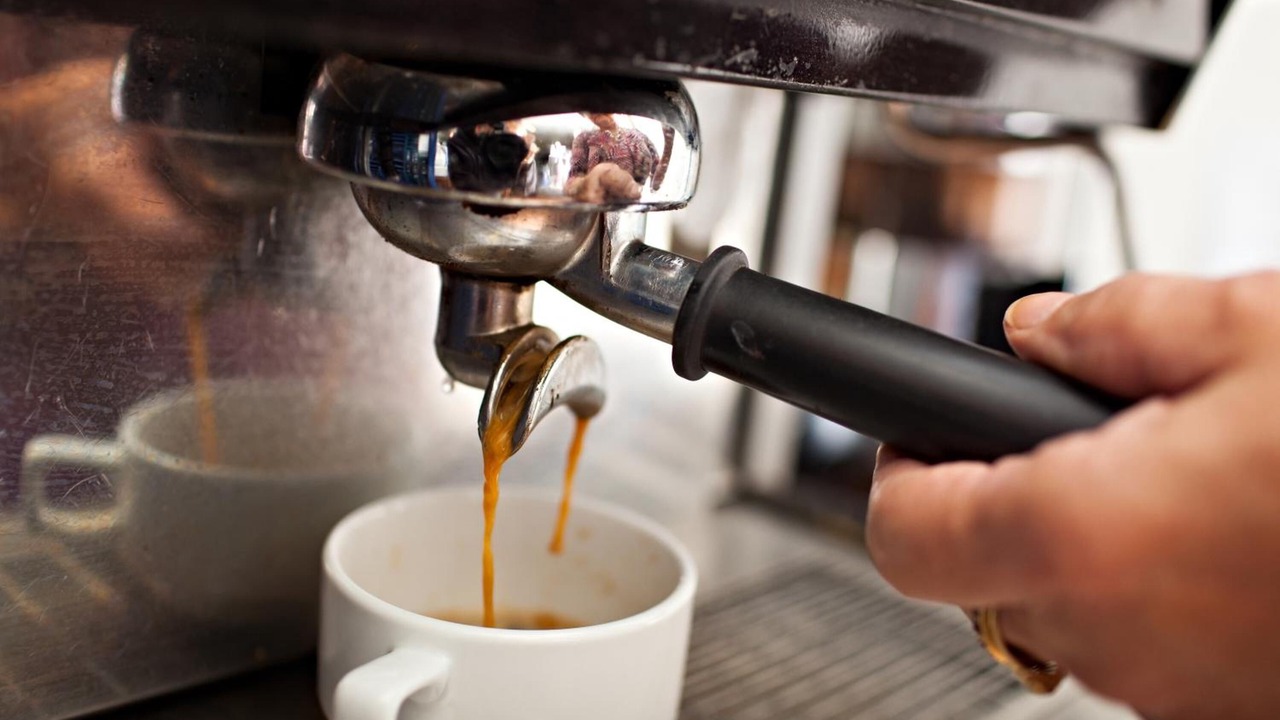 Photo of Others in Sarina