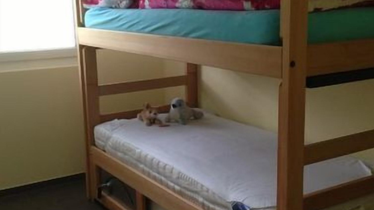 Photo of Bedroom in Fiesch
