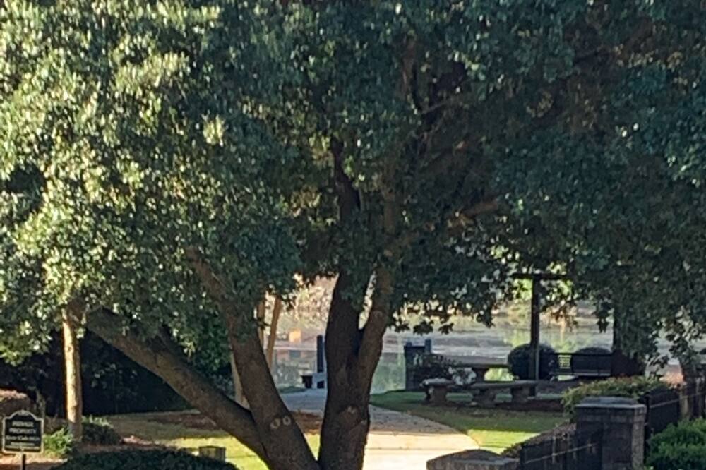 Photo of Others in North Augusta