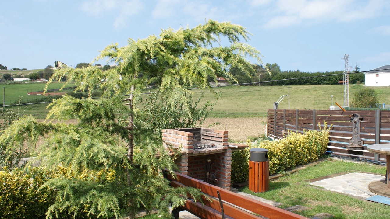 Photo of Outdoor in Pielagos