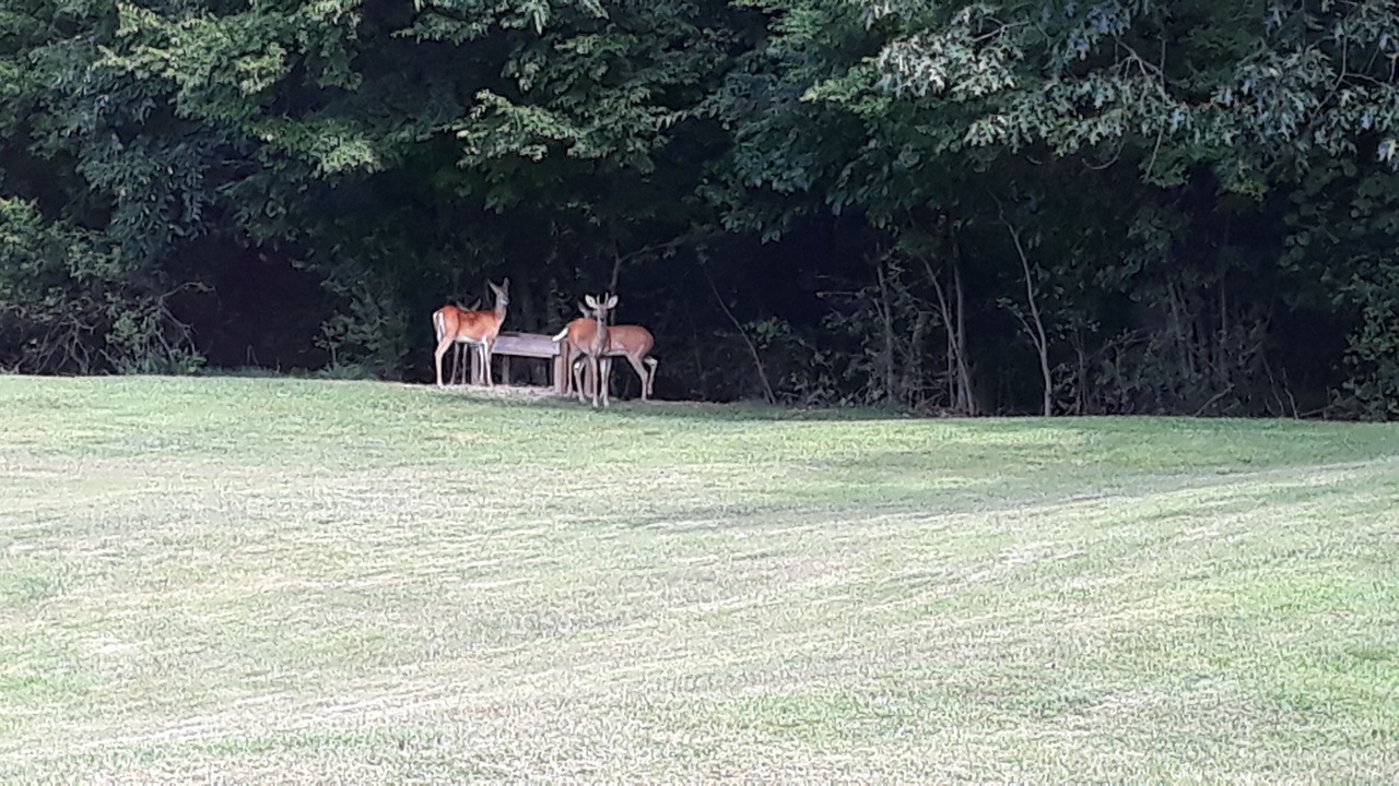 Photo of Others in Grand Rivers