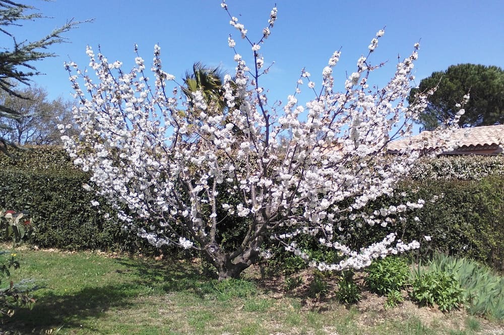 Photo of Outdoor in Castelnou