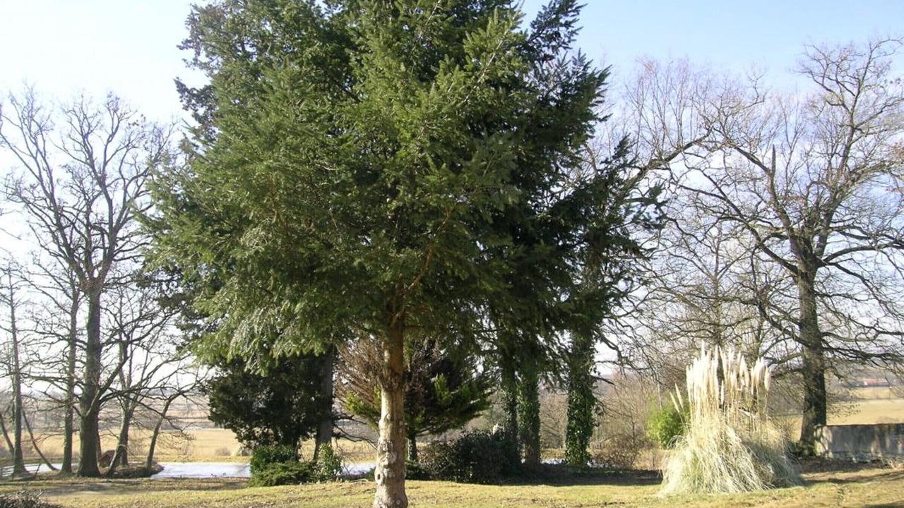 Photo of Outdoor in Dompierre-sur-Besbre