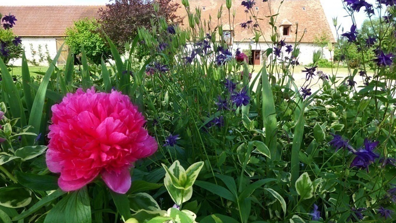 Photo of Outdoor in Audes