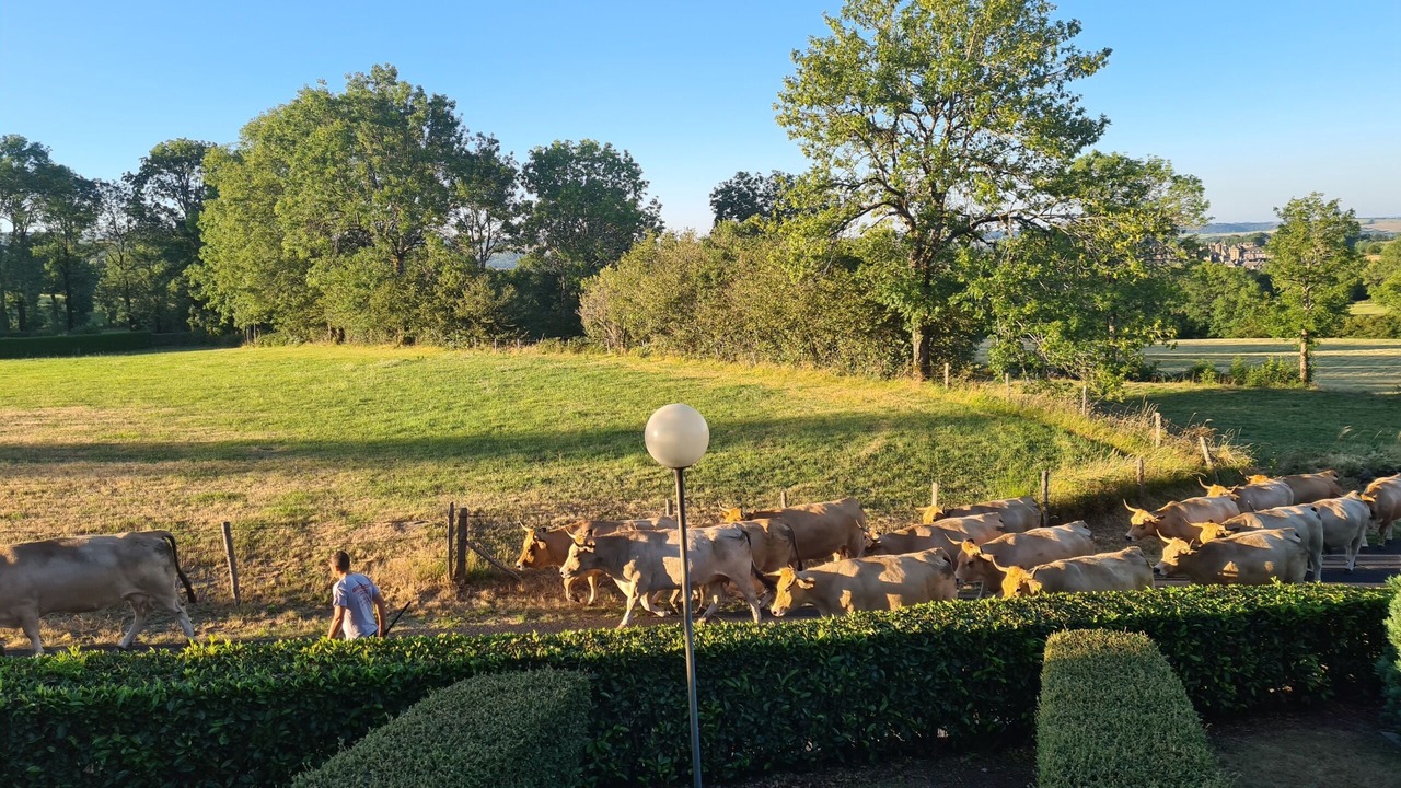 Photo of Outdoor in Salers
