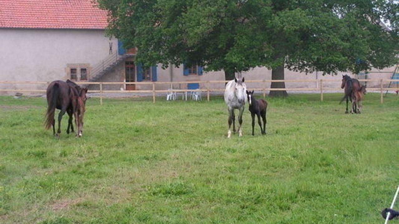 Photo of Outdoor in Souvigny