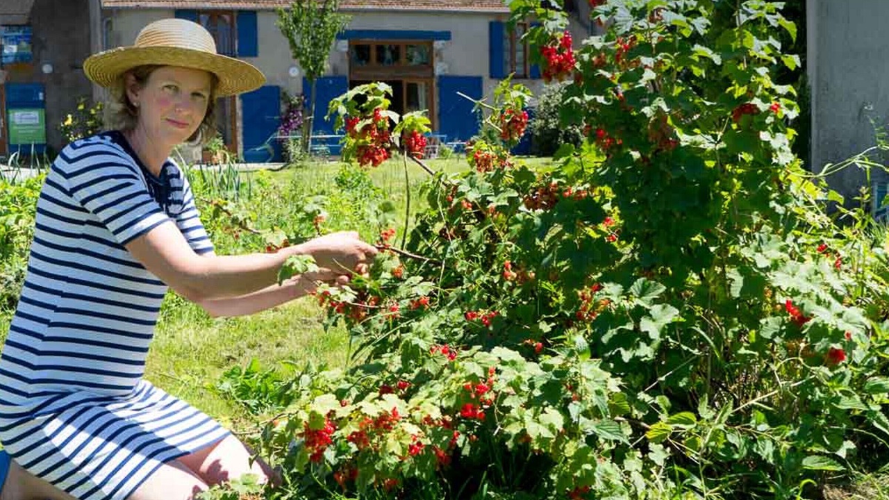 Photo of Others in Souvigny