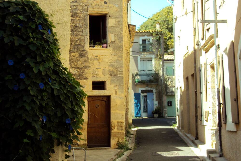 Photo of Outdoor in Tourbes