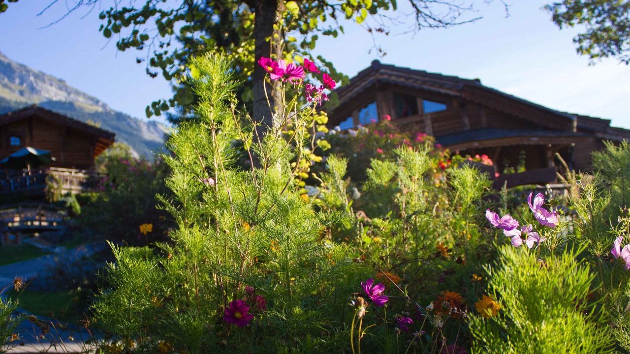 Photo of Outdoor in Passy