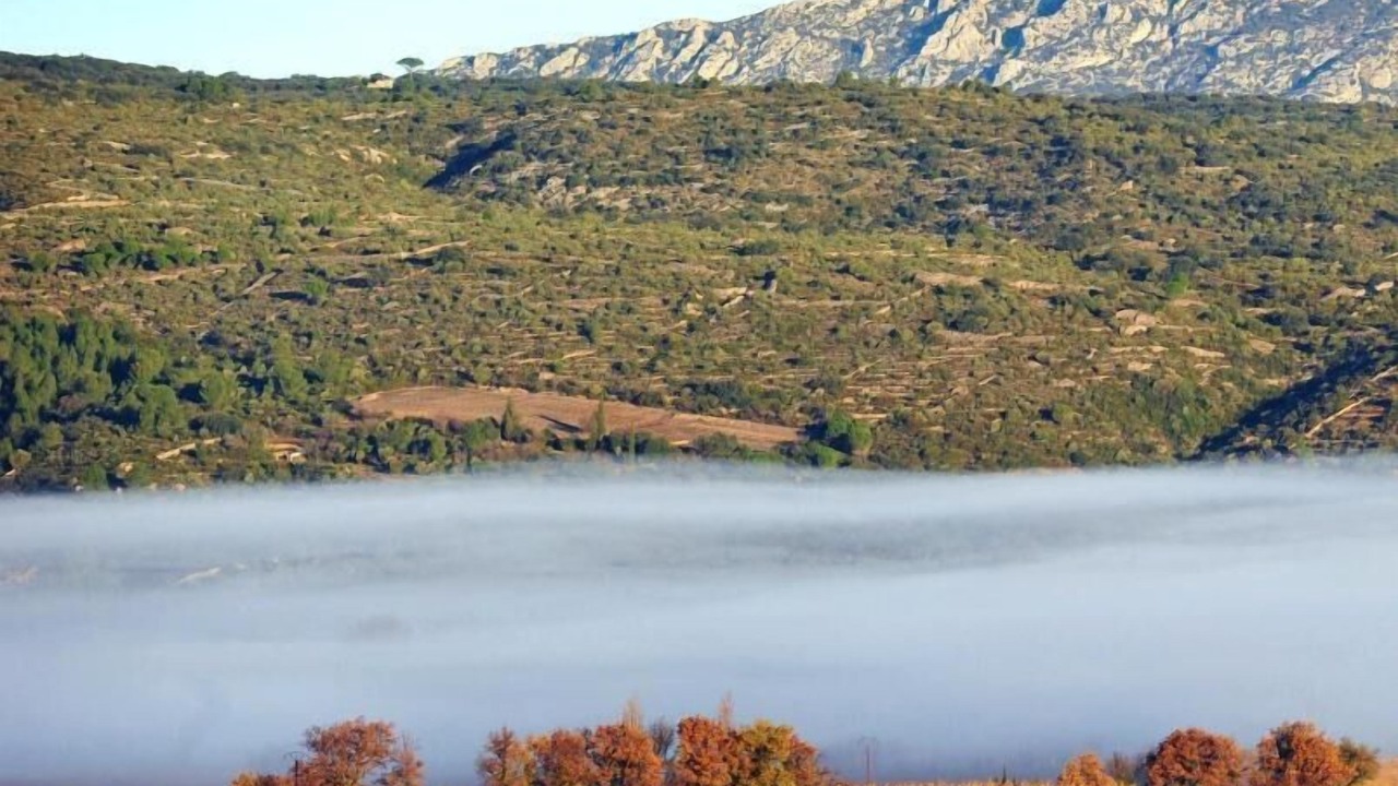 Photo of Outdoor in Montner
