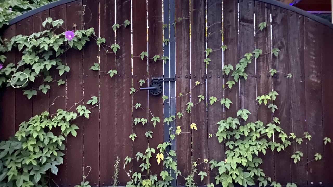 Photo of Outdoor in West Junior College