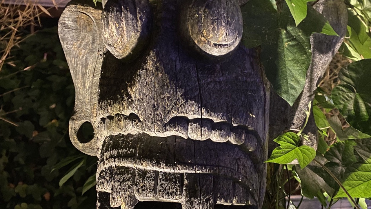 Photo of Outdoor in West Junior College