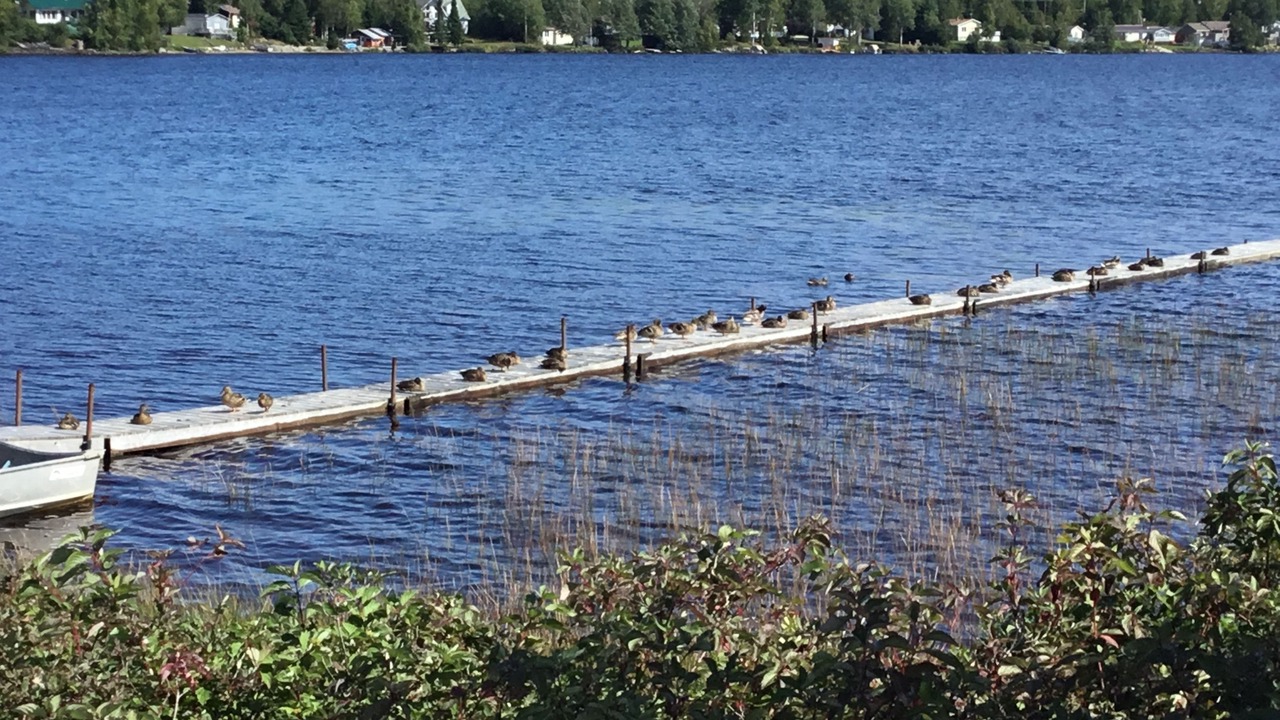 Photo of Outdoor in Abitibi-Temiscamingue
