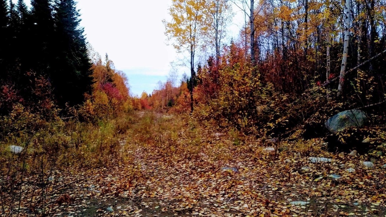 Photo of Outdoor in Abitibi-Temiscamingue