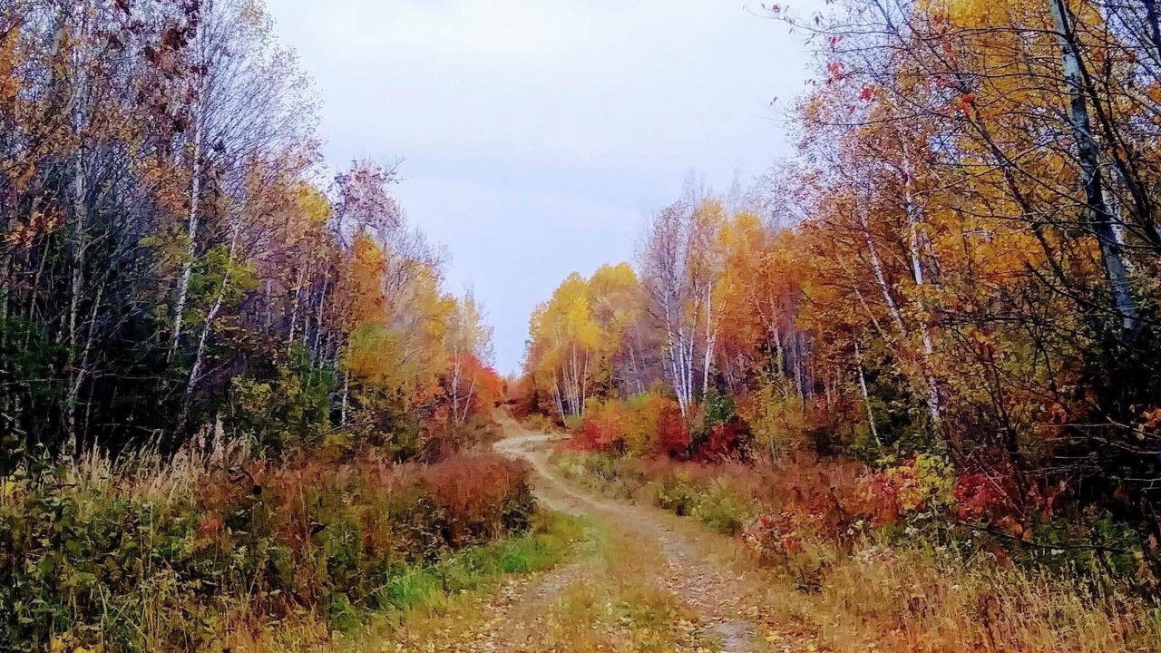 Photo of Outdoor in Abitibi-Temiscamingue