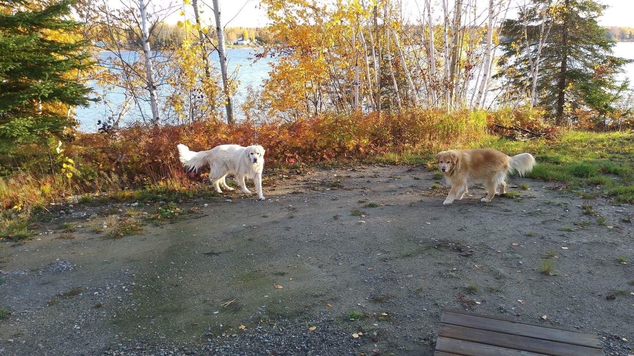 Photo of Outdoor in Abitibi-Temiscamingue