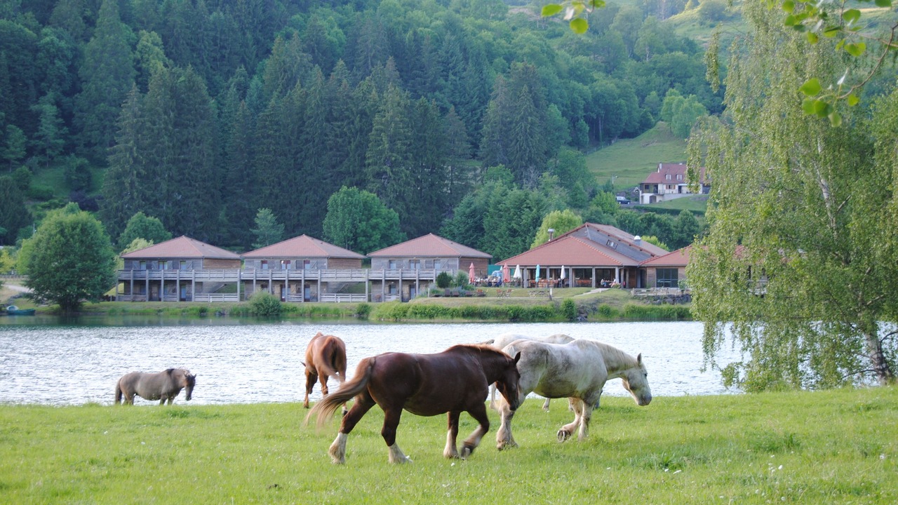 Photo of Others in Lascelle
