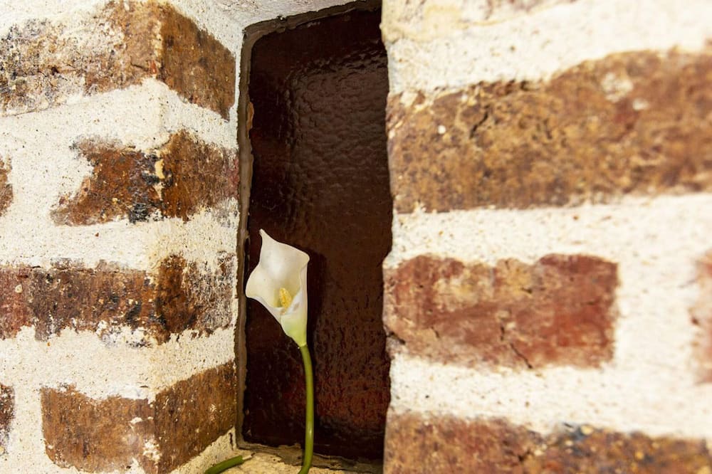 Photo of Others in Authon