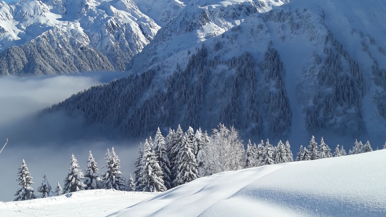 Photo of Others in La Ferriere
