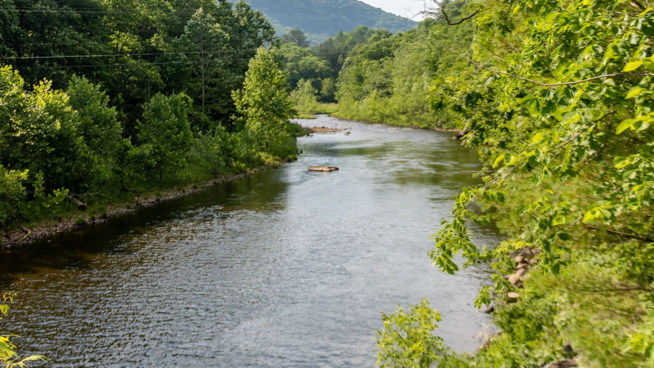 Photo of Others in Newfane