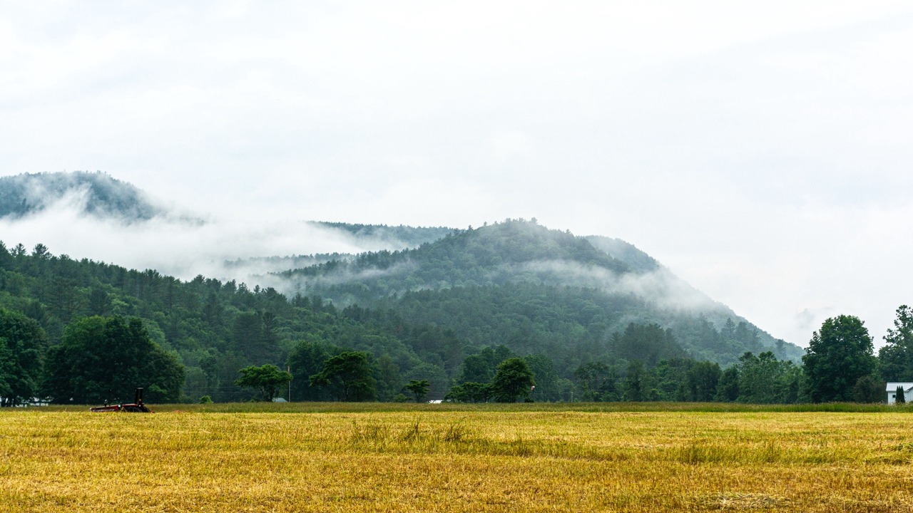 Photo of Outdoor in Newfane