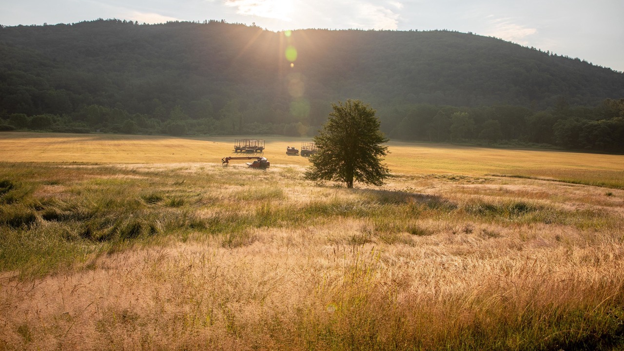 Photo of Outdoor in Newfane