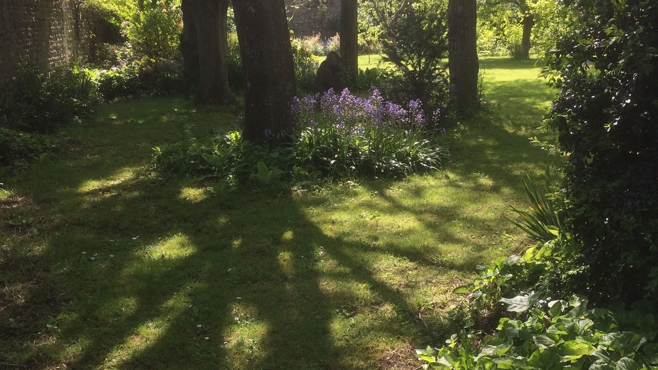Photo of Outdoor in Saint-Martin-des-Entrees