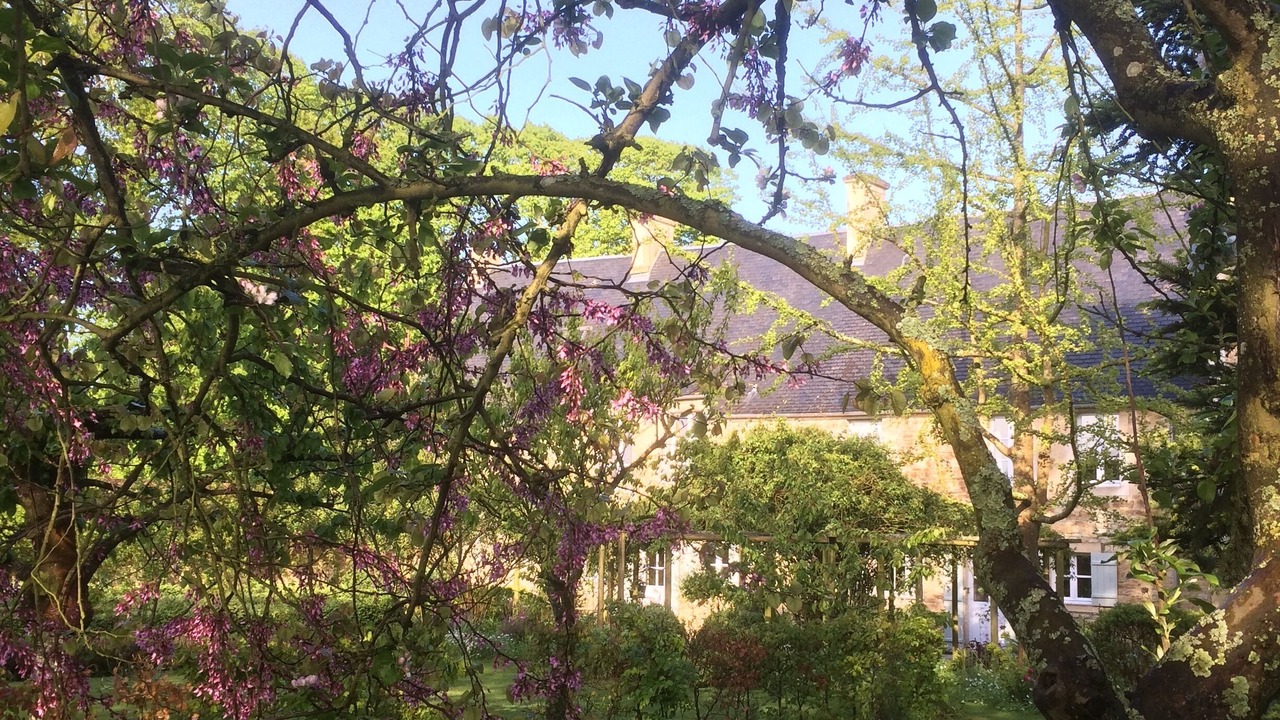 Photo of Outdoor in Saint-Martin-des-Entrees