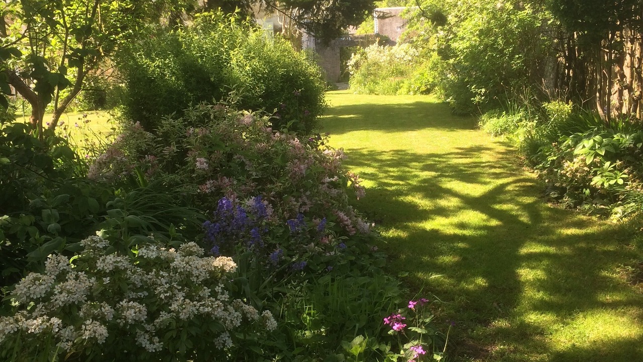 Photo of Others in Saint-Martin-des-Entrees