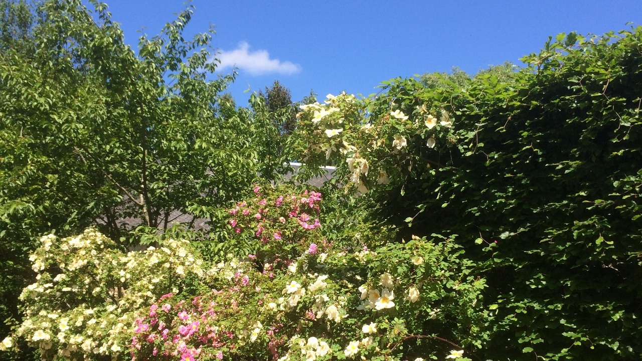 Photo of Outdoor in Saint-Martin-des-Entrees