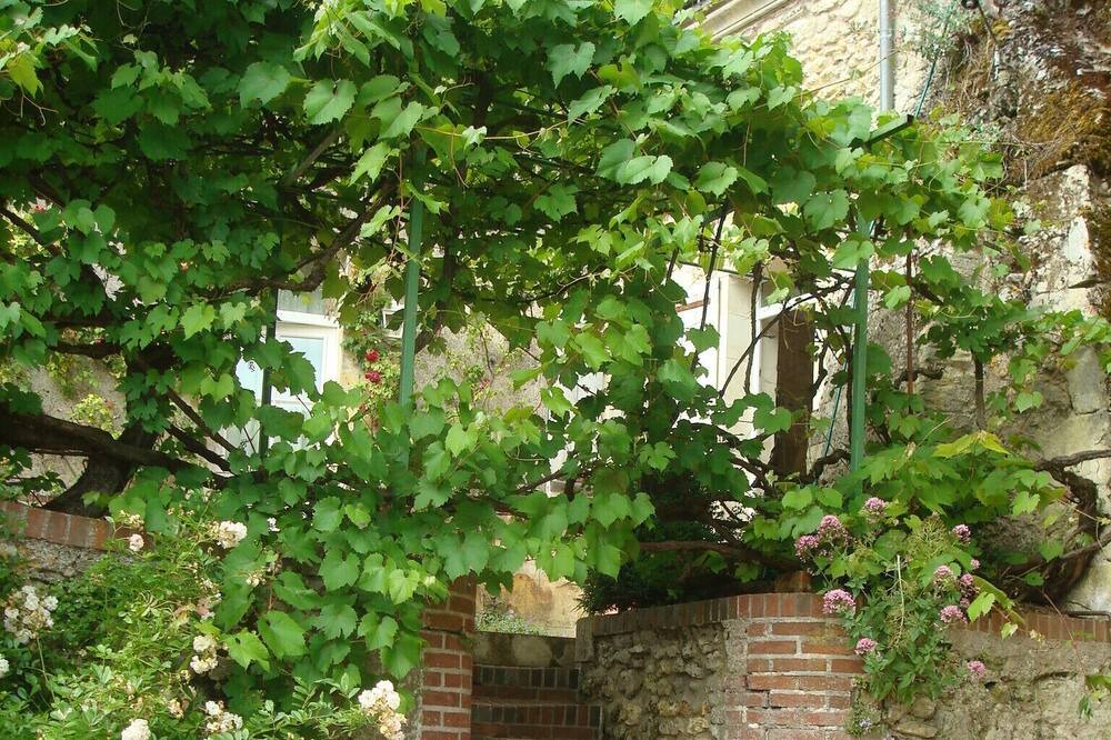 Photo of Outdoor in Vouvray