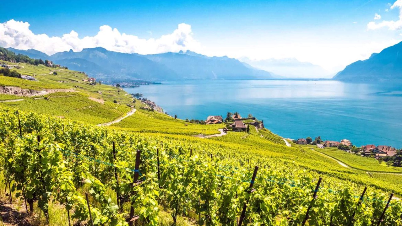 Photo of Outdoor in Corseaux