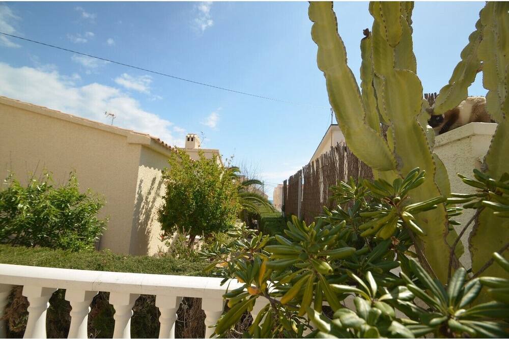 Photo of Others in La Mata