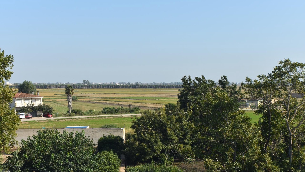 Photo of Outdoor in Camarles