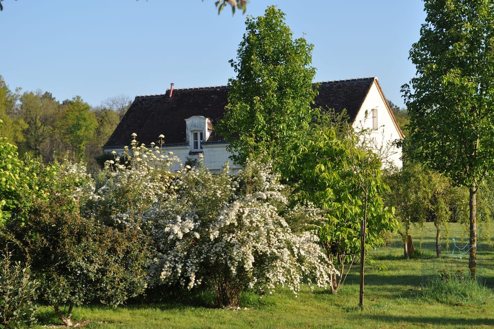 Photo of Outdoor in Chambourg-sur-Indre