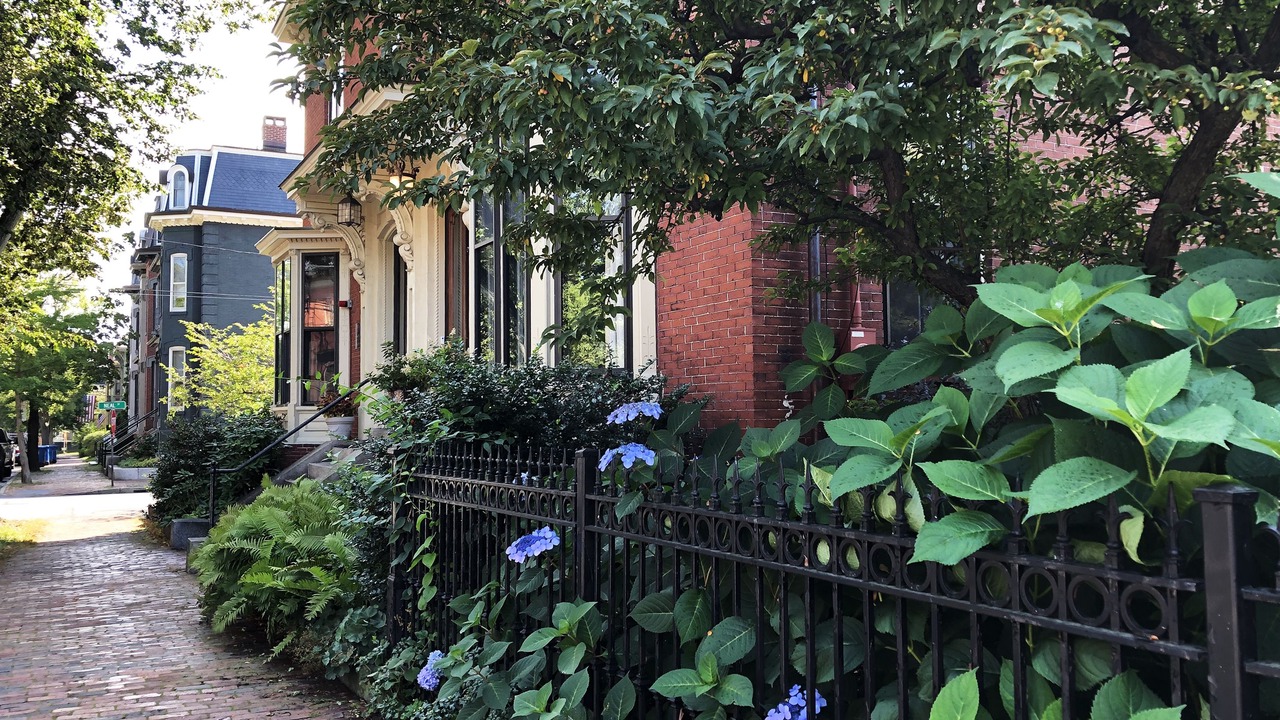 Photo of Outdoor in West End